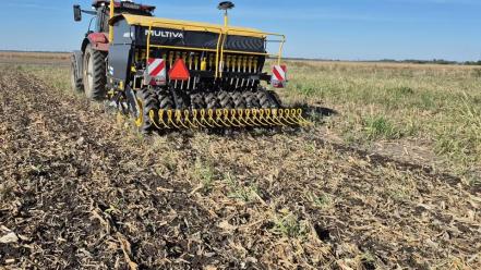 Dunántúli demós helyzetjelentés, így fest az Október 3.-án kukorica tarlóba vetett búza. 🌽➡️🌾 Eredeti bejegyzésünk: ht...