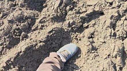 Optima EVO 600 kombinátor átadáson. Első méterek szántás lezáráson. 🫡💪 3 cm munka mélység, viszont az első és hátsó...