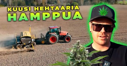 Kiinnostaako hampun viljely? Vai kiinnostaisiko hampun kylvö Multiva kylvölannoittimella? Tutustu hampun kylvöön Multiva...