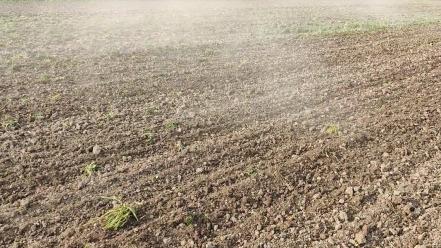 TopLine Super 600Xl kombinátor bemutatón. Magágy készítés 6-7 cm munka mélységen. 🧑 🌾