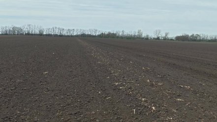 Optima EVO 800 kombinátor beüzemelés. A 2 ha tábla hamar elfogyott mire beállítottuk. Végül a mezsgye határnál sikerült...