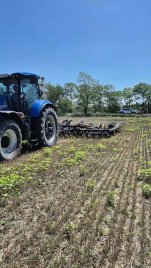 TopLine Super 600XL lúdtalp hegyekkel végzi a tarlóhántást 🌾 Öröm nézni a munkáját 🤩 Teljes erőbedobással állunk rende...