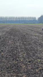 Alapos demónak vetettük alá a januári kiállításon bemutatott Avarant 😎 Több területen, eltérő mélységekben, nedvesebb é...