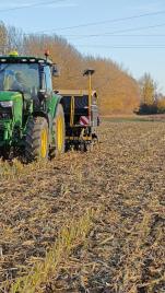 Demós helyzetjelentés a November 1-jén cirok tarlóba vetett búzáról 🌾 (https://www.facebook.com/reel/1736110280407537)...