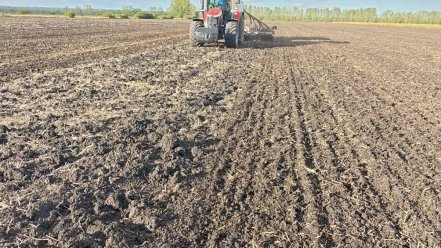 eCerex 600 vetőgép bemutatón. 🤠👉Talajt művel/tápanyagot rak sor alá/és vet. Megkezdődött a kalászosok vetése a Hajdúsá...