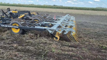 TopLine Super 600XL alexandriai here utáni tarlóhántásban 🔝🌾