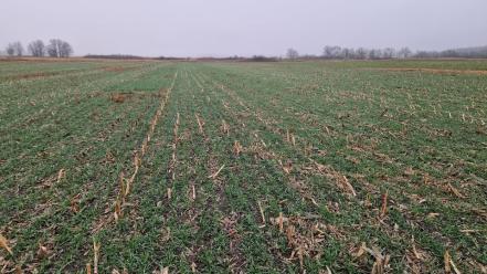 Helyzetjelentés az Október 3.-i eForte demós bejegyzésünk után (https://www.facebook.com/reel/2018911628944863): Szépen...