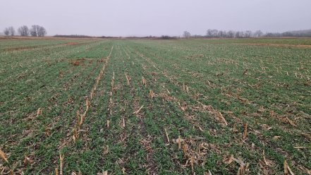 Helyzetjelentés az Október 3.-i eForte demós bejegyzésünk után (https://www.facebook.com/reel/2018911628944863): Szépen...